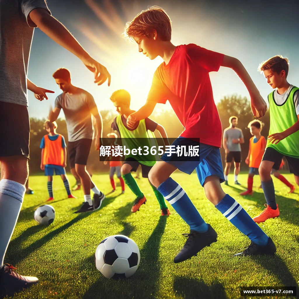 解读bet365手机版